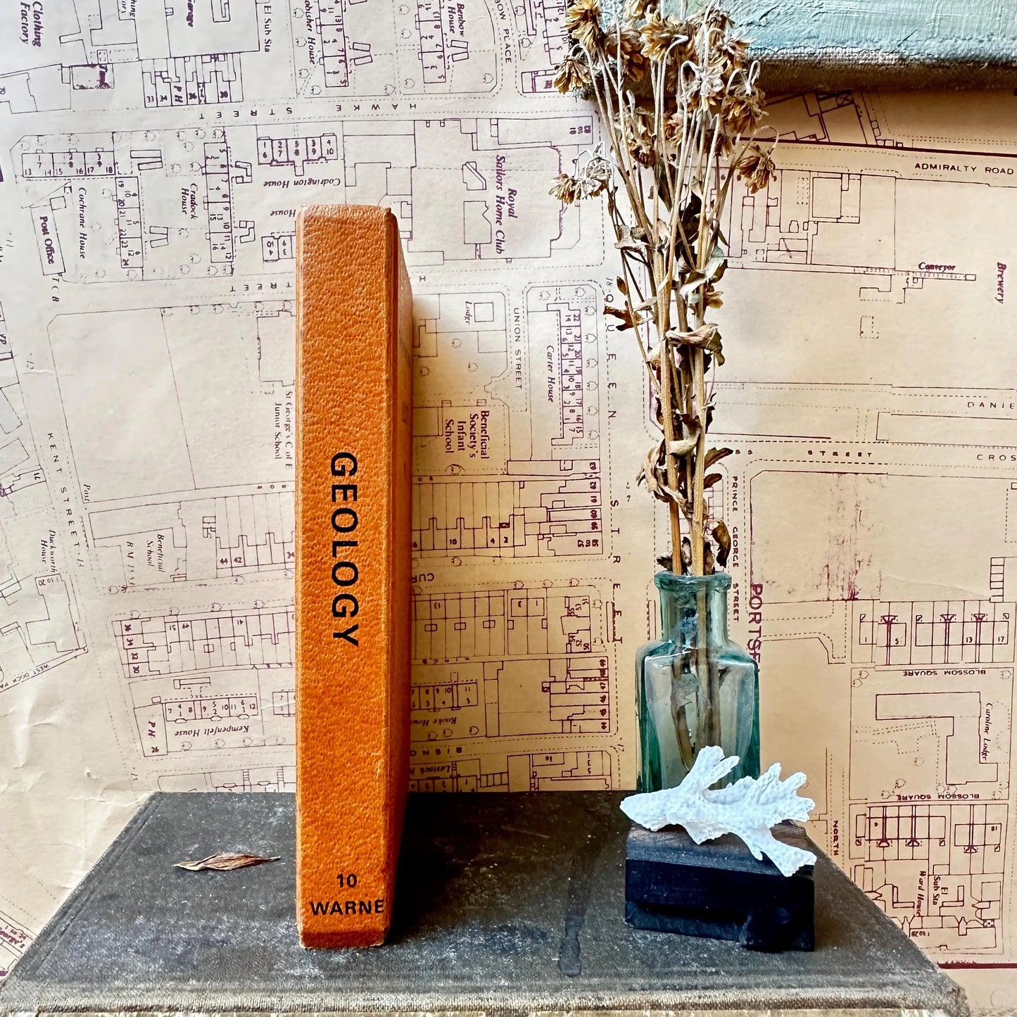The observer’s book of Geology - Title Top to Bottom - The Blind Mole