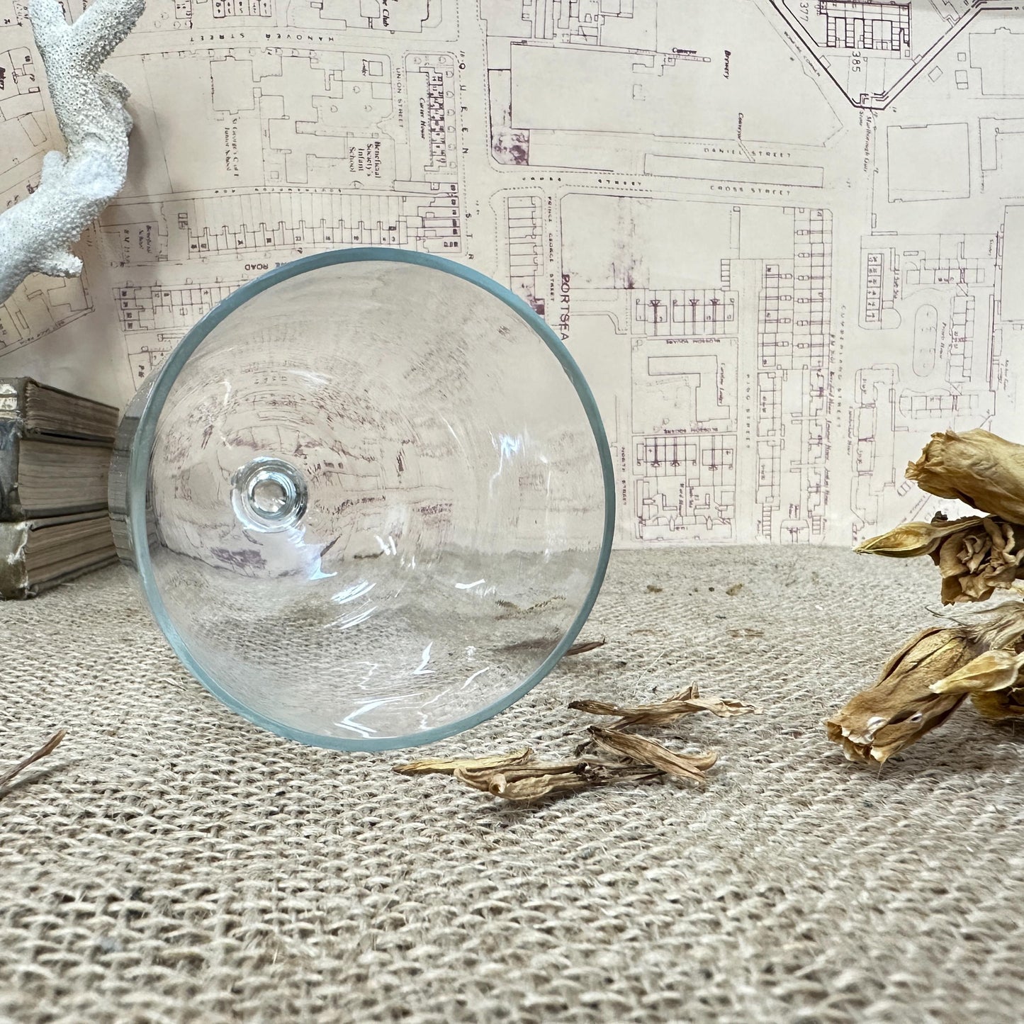 Tiny Vintage Clear Bell Shaped Glass Dome Display Case Cloche - The Blind Mole