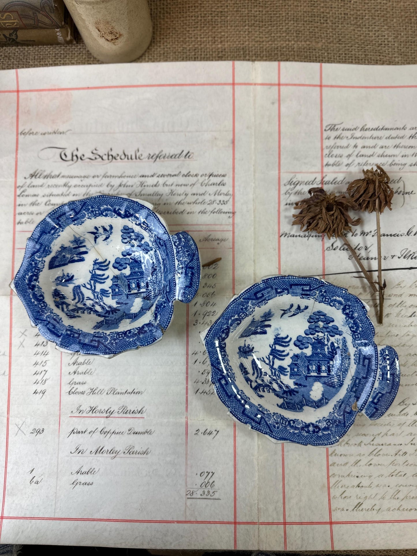 Antique Blue & White Willow Pattern Fished Shaped Hors Oeuvre's Dishes - The Blind Mole