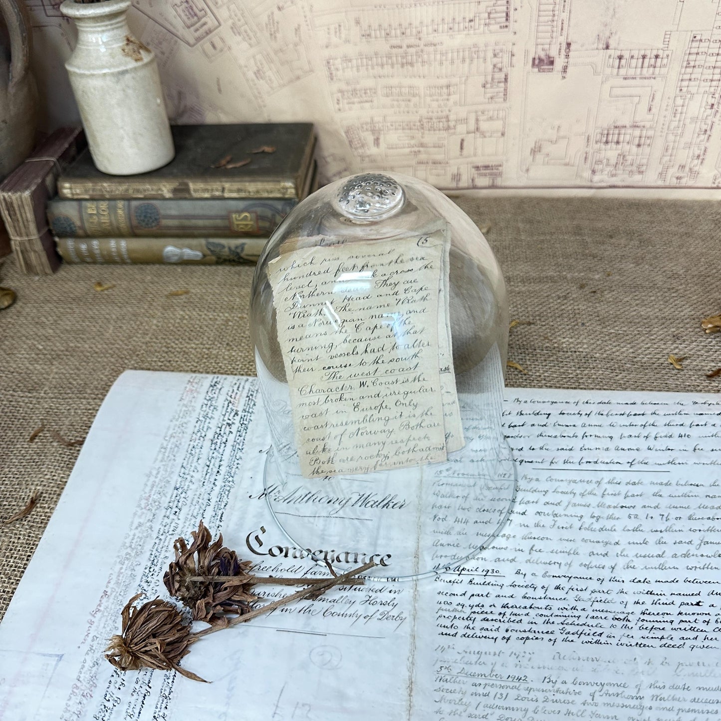 Vintage Clear Glass Bell Dome Display Case Cloche - The Blind Mole