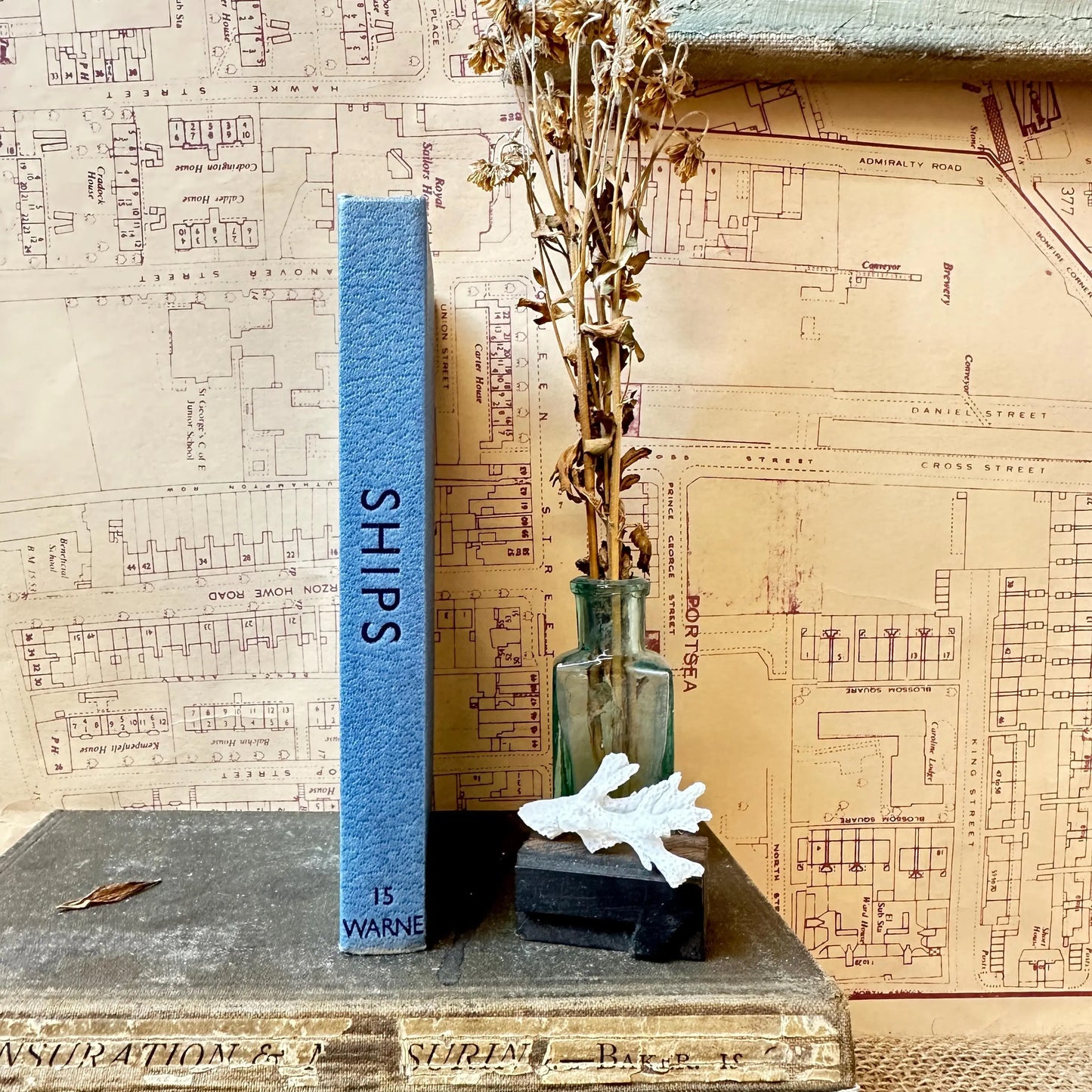 The observer’s book of Ships - Title Top to Bottom - The Blind Mole