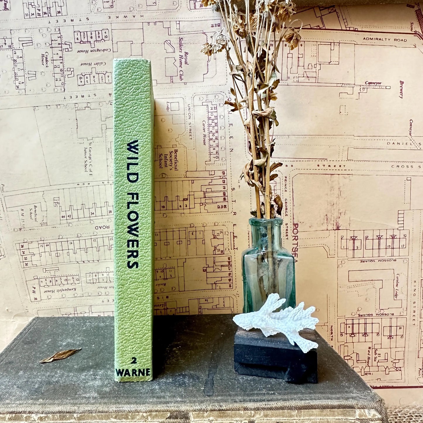 The observer’s book of Wild Flowers - Title Top to Bottom - The Blind Mole