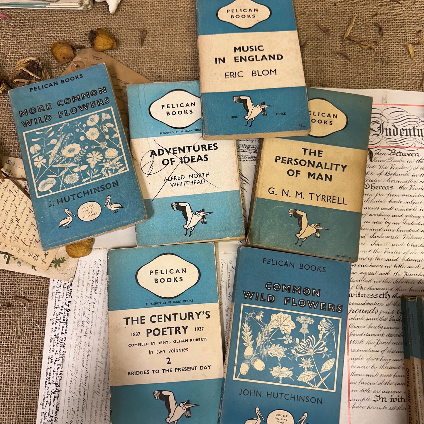 Stack of Vintage Blue Pelican books 2 Available - The Blind Mole