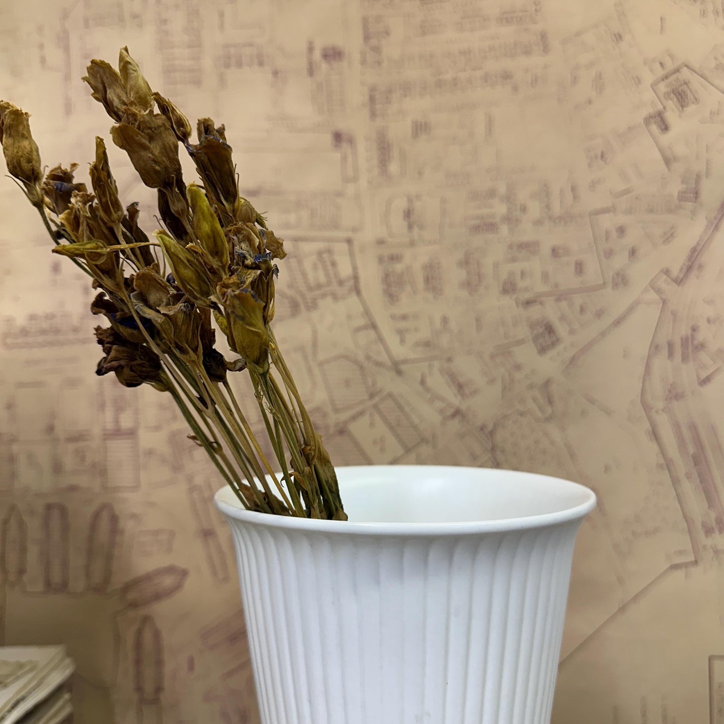 White Moonstone Matt Wedgewood Ribbed Vase - The Blind Mole