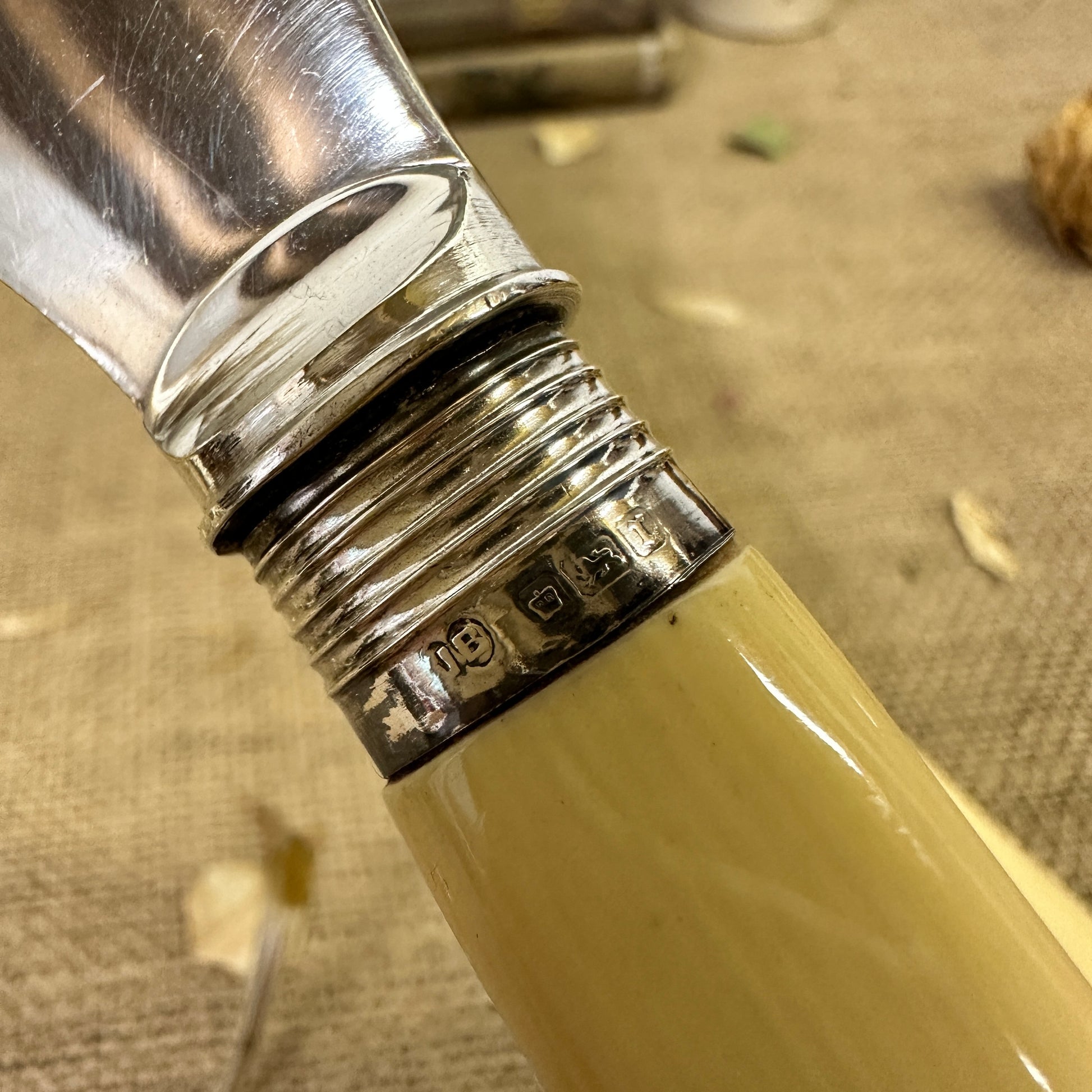 Salomon Fish Serving Set Silver Collars - The Blind Mole