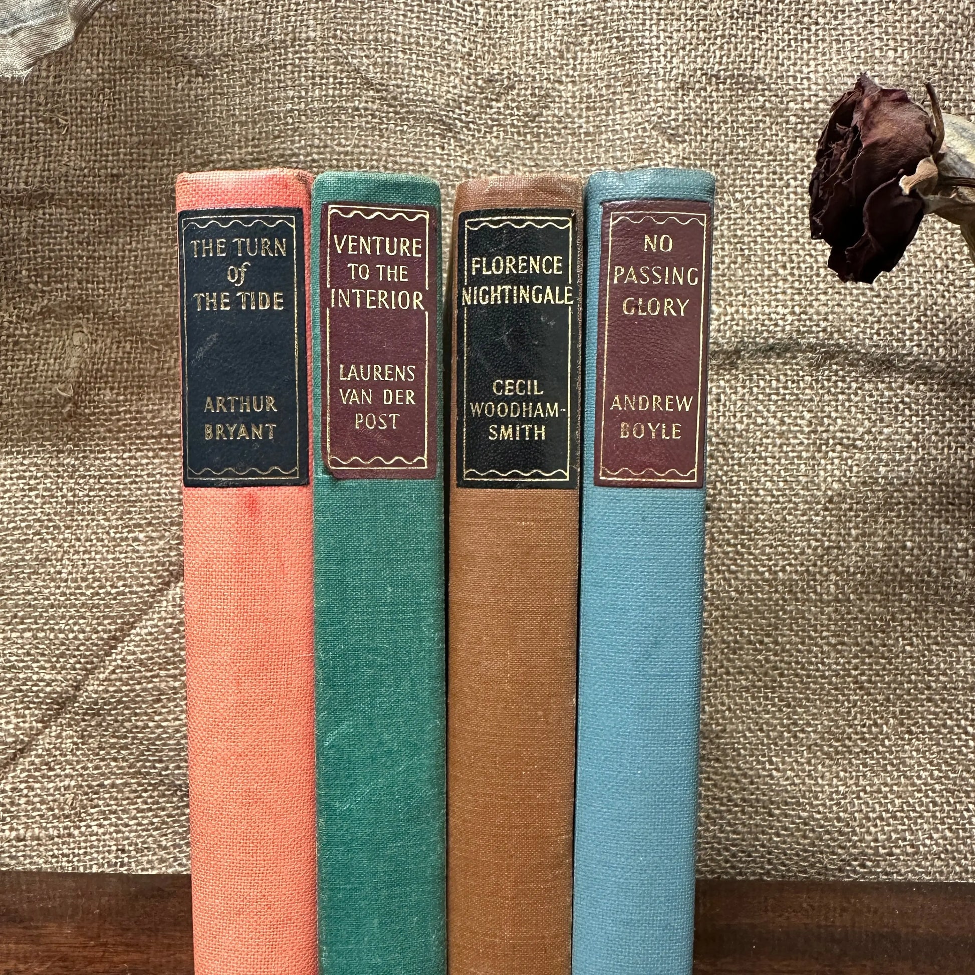 Coloured Book Stacks Multi The Blind Mole