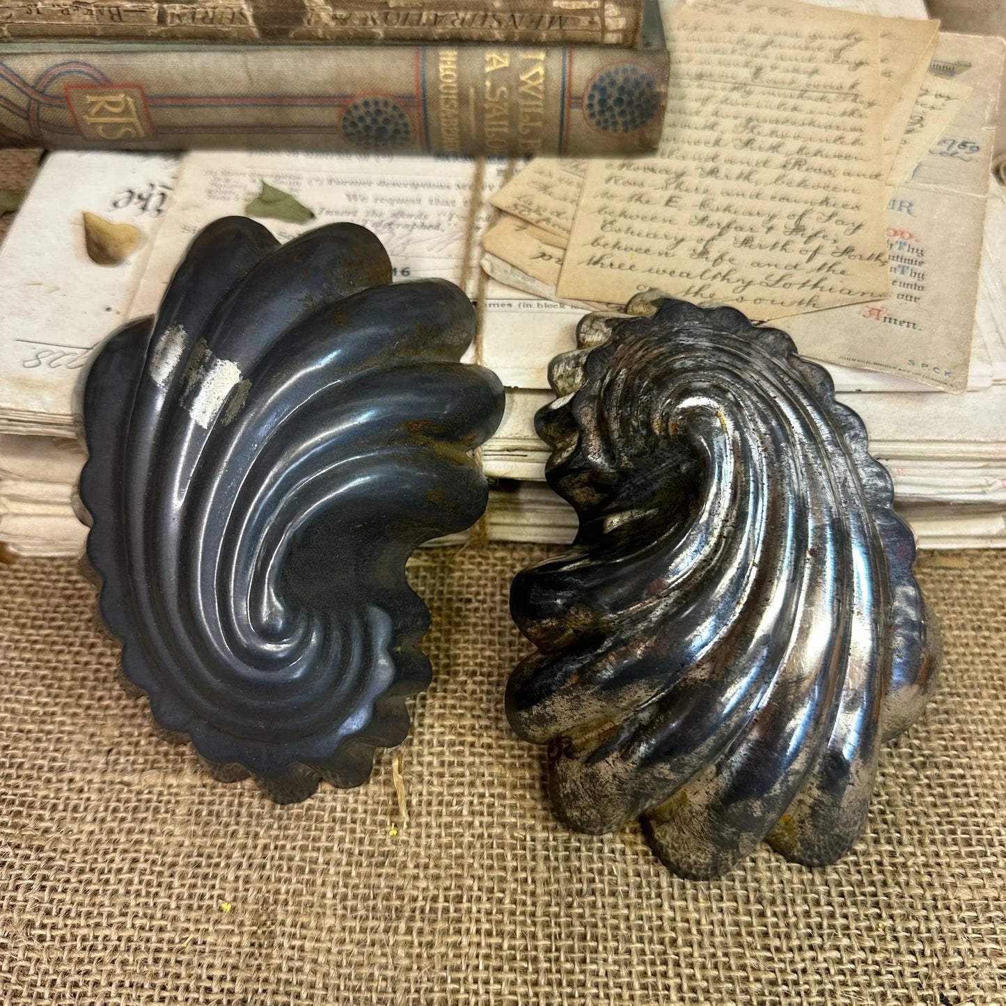 Pair of Shell Baking Tins, Moulds - The Blind Mole