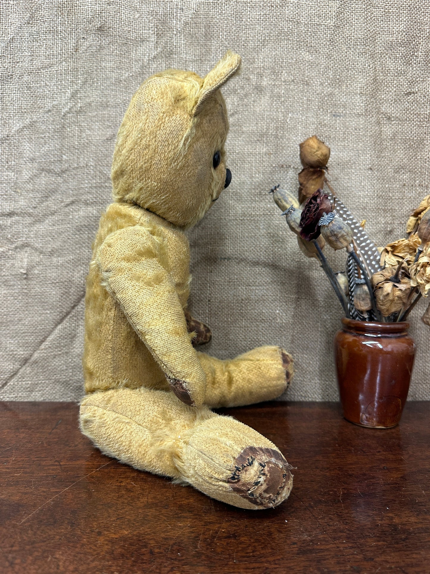 Mohair Antique Teddy Bear The Blind Mole