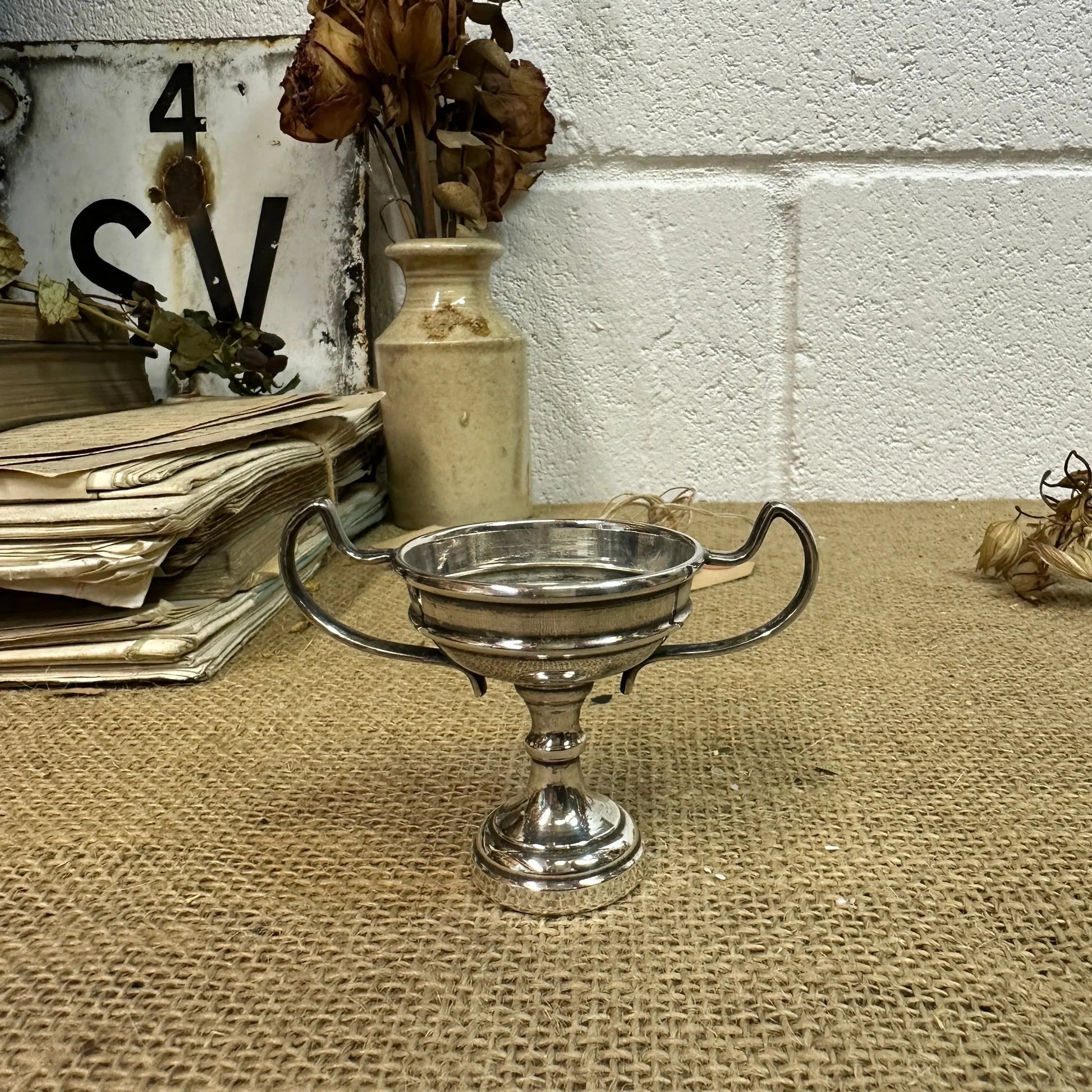 Small EPNS Decorative Trophy - The Blind Mole