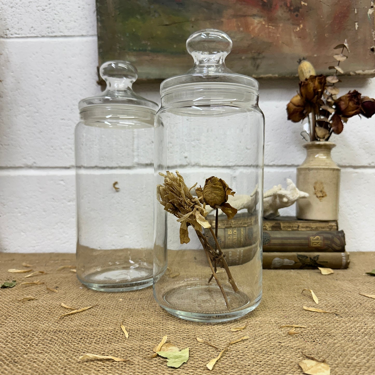 Large Clear Vintage Lidded Glass Apothecary Bon Bon Jars Pair - The Blind Mole