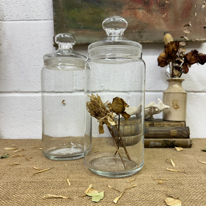 Large Clear Vintage Lidded Glass Apothecary Bon Bon Jars Pair - The Blind Mole