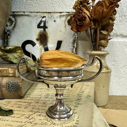 Small EPNS Decorative Trophy - The Blind Mole