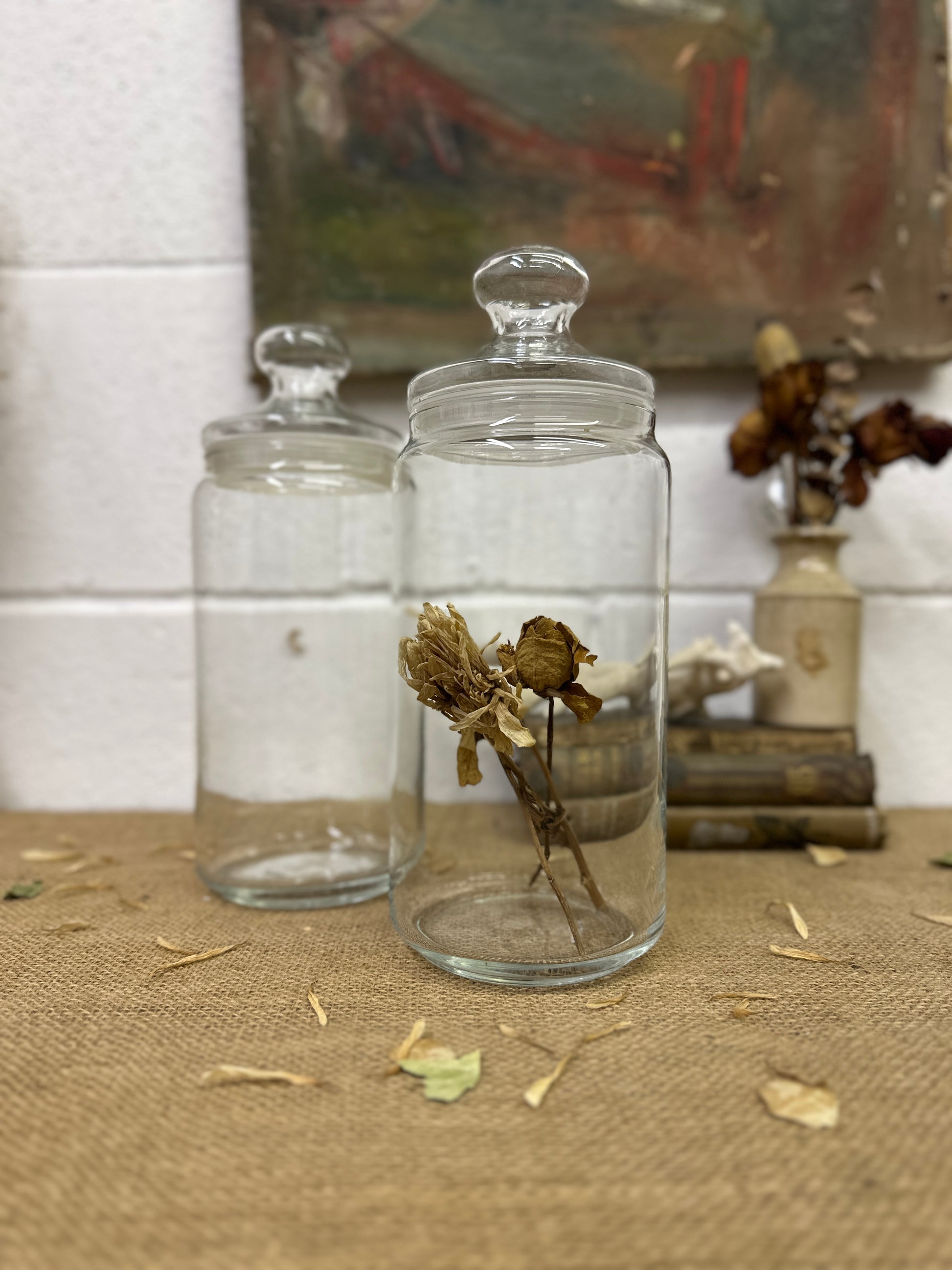 Large Clear Vintage Lidded Glass Apothecary Bon Bon Jars Pair - The Blind Mole