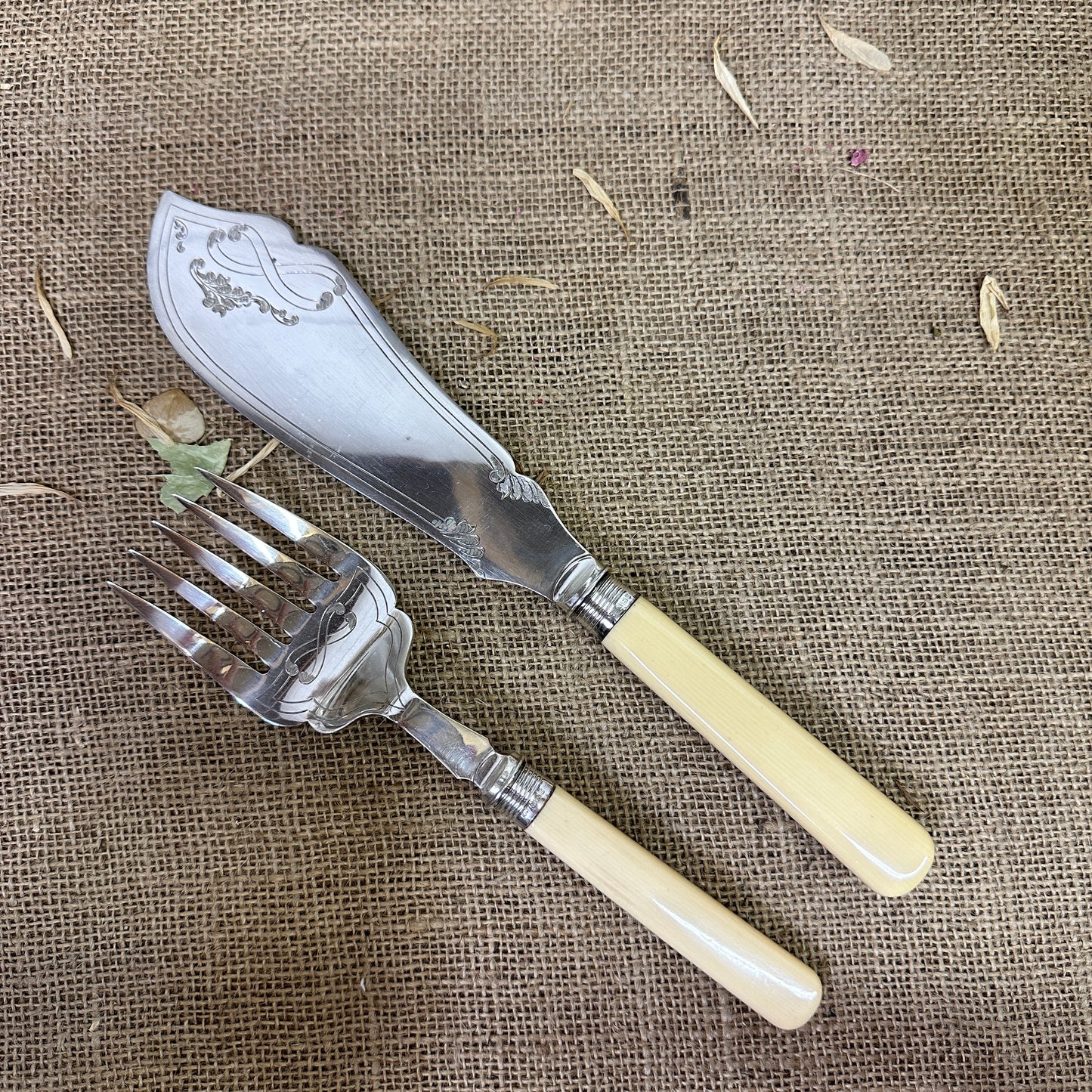 Salomon Fish Serving Set Silver Collars - The Blind Mole