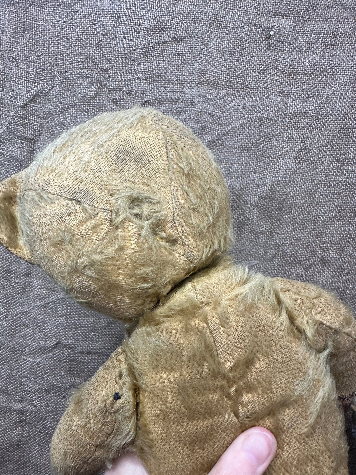 Mohair Antique Teddy Bear The Blind Mole