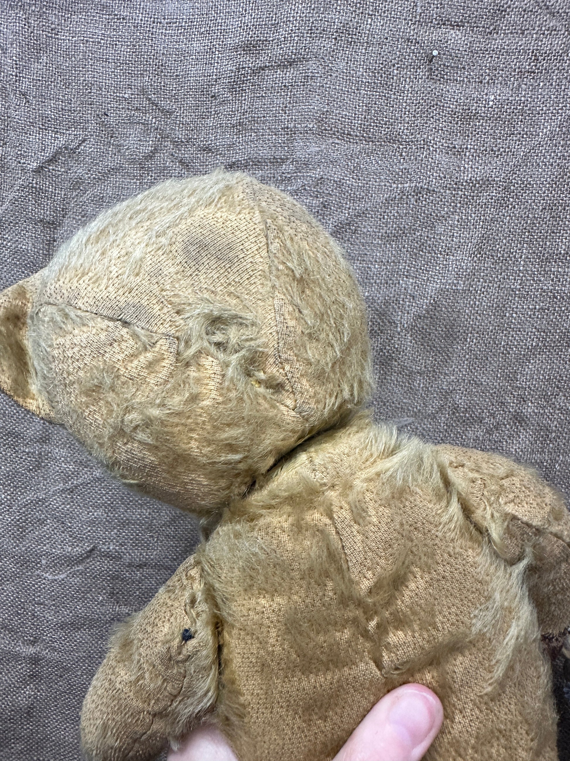 Mohair Antique Teddy Bear The Blind Mole