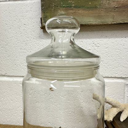 Large Clear Vintage Lidded Glass Apothecary Bon Bon Jars Pair - The Blind Mole