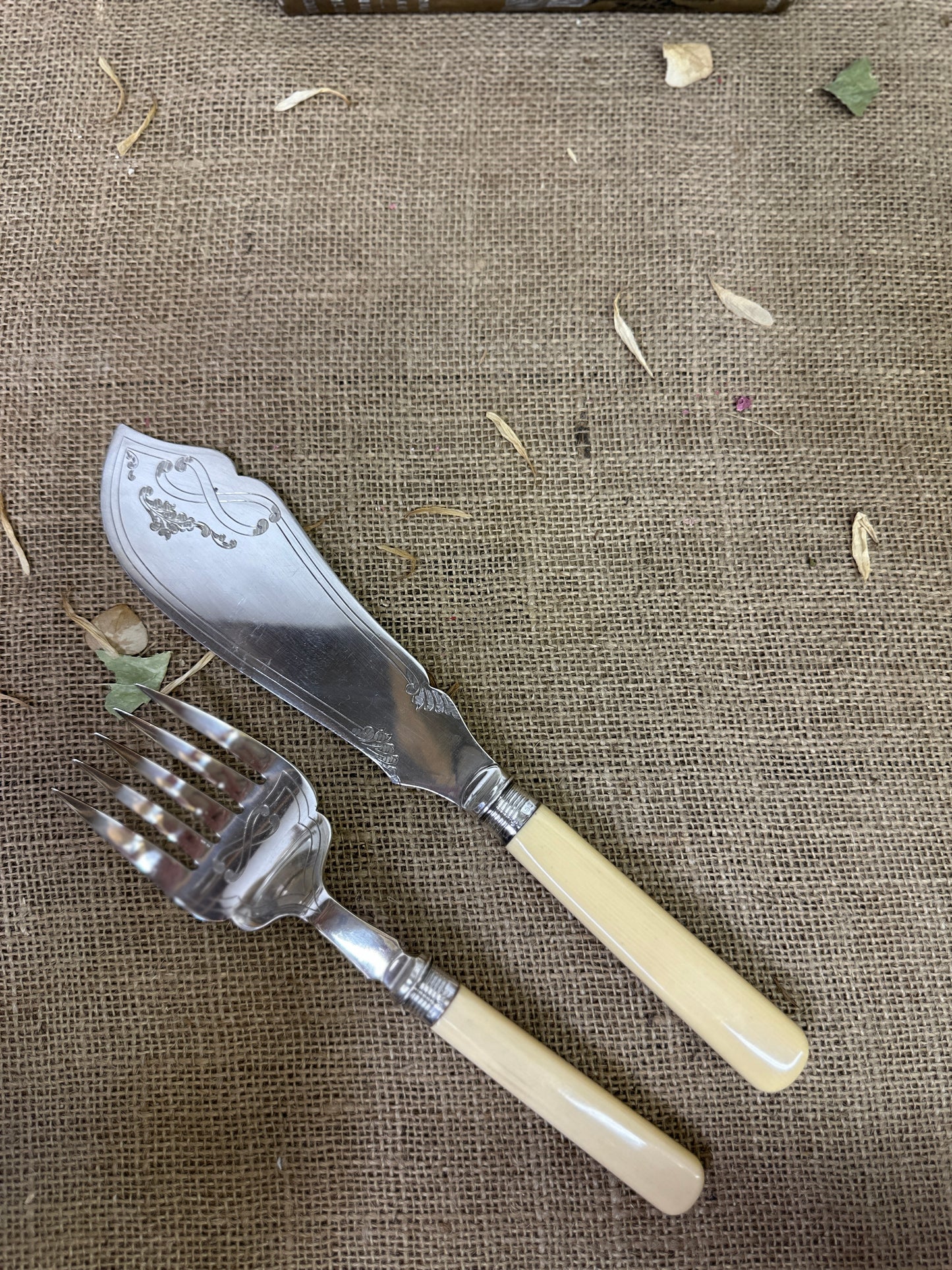 Salomon Fish Serving Set Silver Collars - The Blind Mole