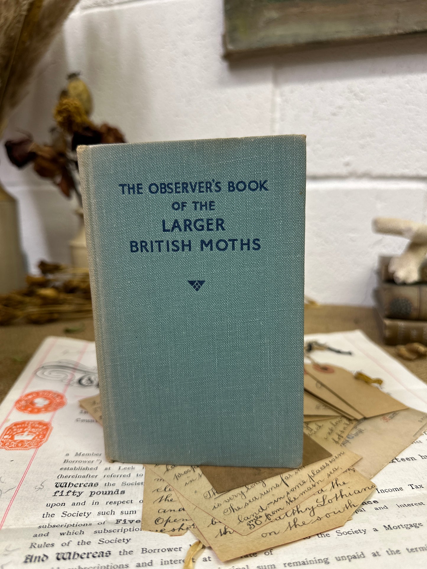 The observer’s book of Larger British Moths - Title Top to Bottom - The Blind Mole