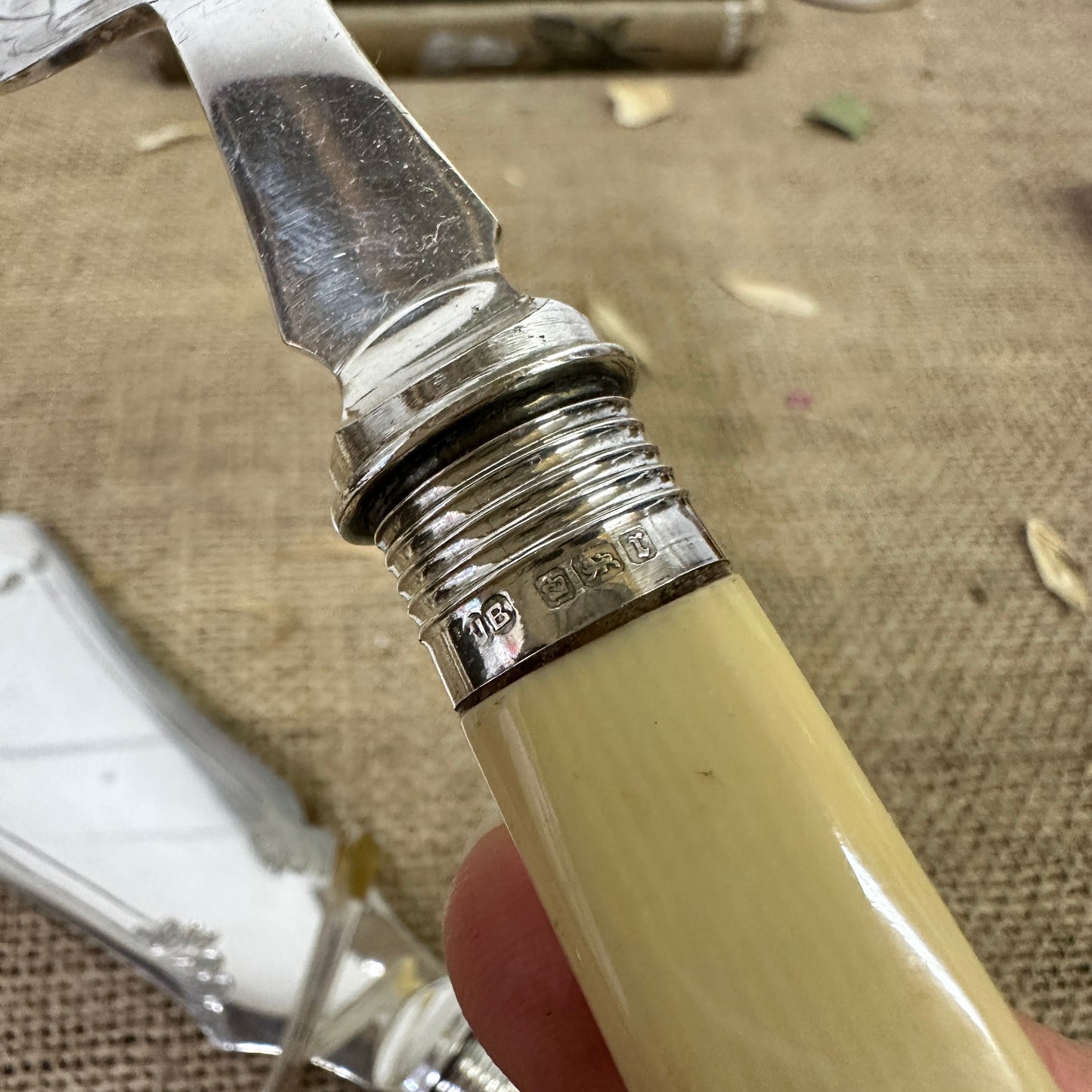 Salomon Fish Serving Set Silver Collars - The Blind Mole