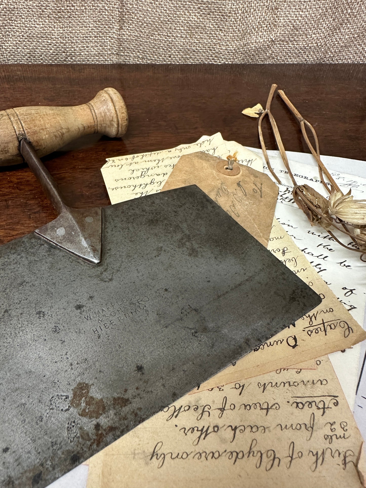 Antique Victorian Herb Cutter The Blind Mole