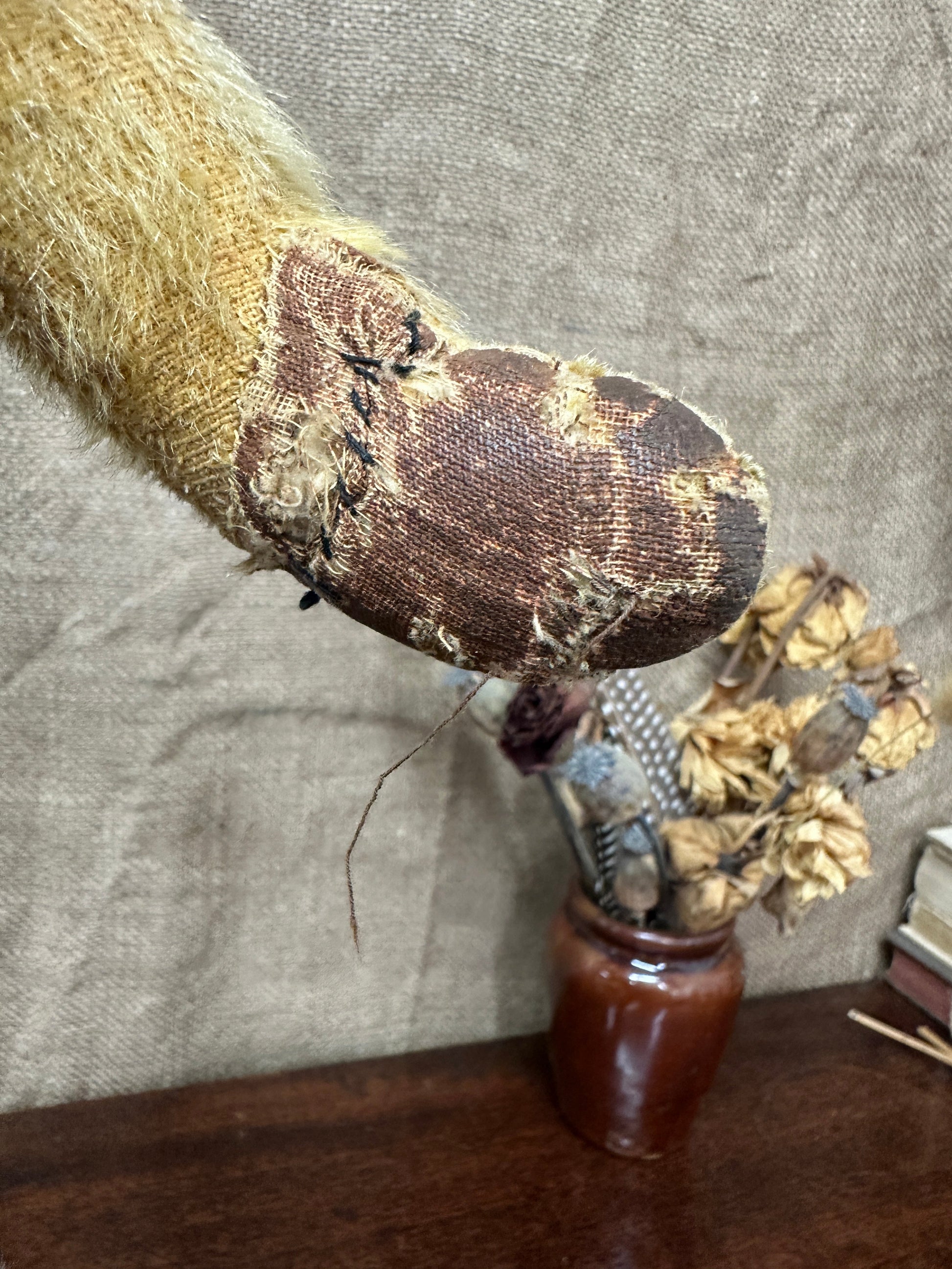 Mohair Antique Teddy Bear The Blind Mole