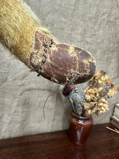Mohair Antique Teddy Bear The Blind Mole