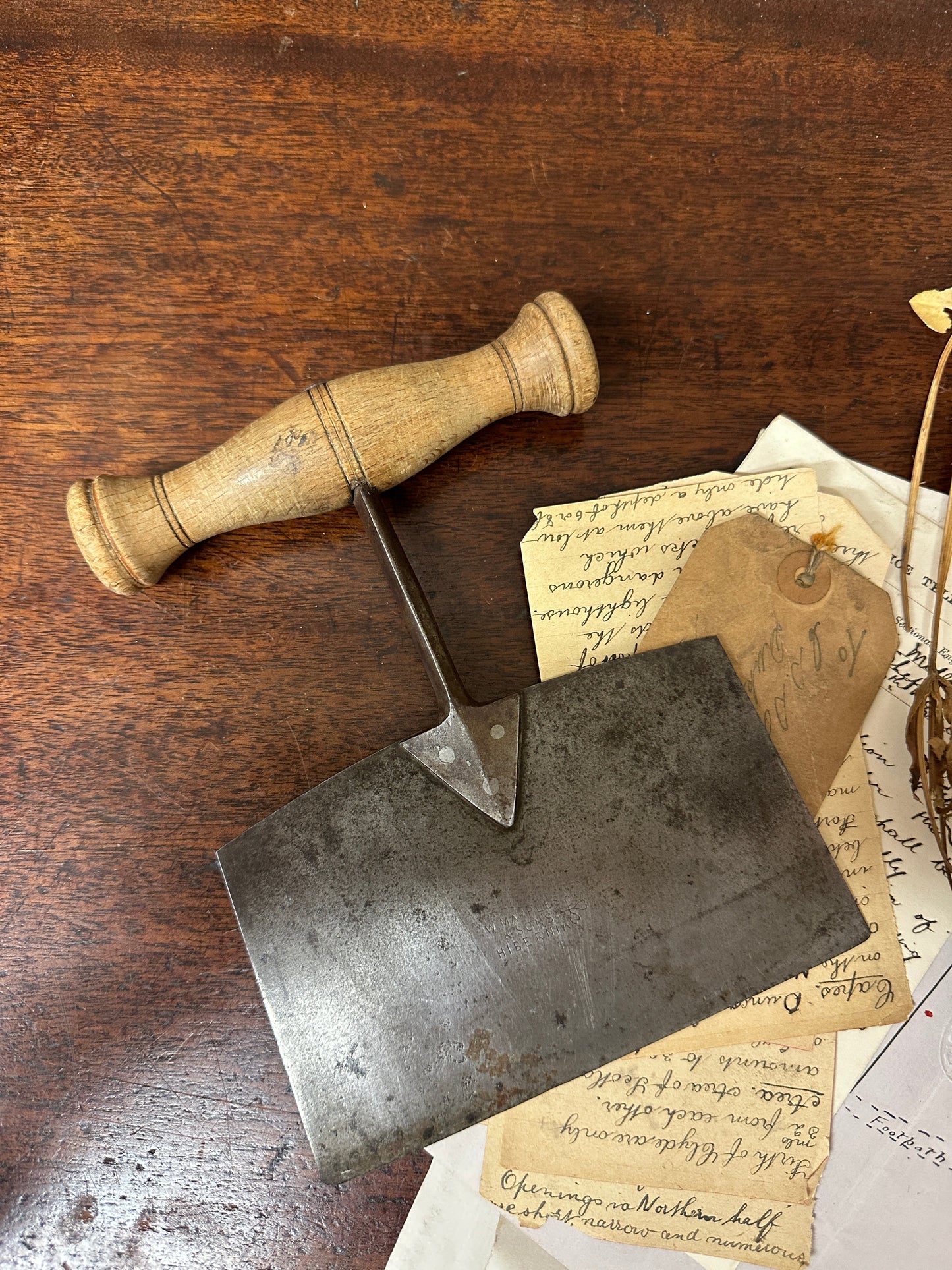 Antique Victorian Herb Cutter The Blind Mole