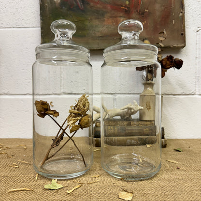 Large Clear Vintage Lidded Glass Apothecary Bon Bon Jars Pair - The Blind Mole
