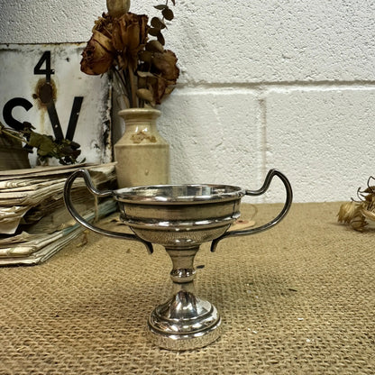 Small EPNS Decorative Trophy - The Blind Mole