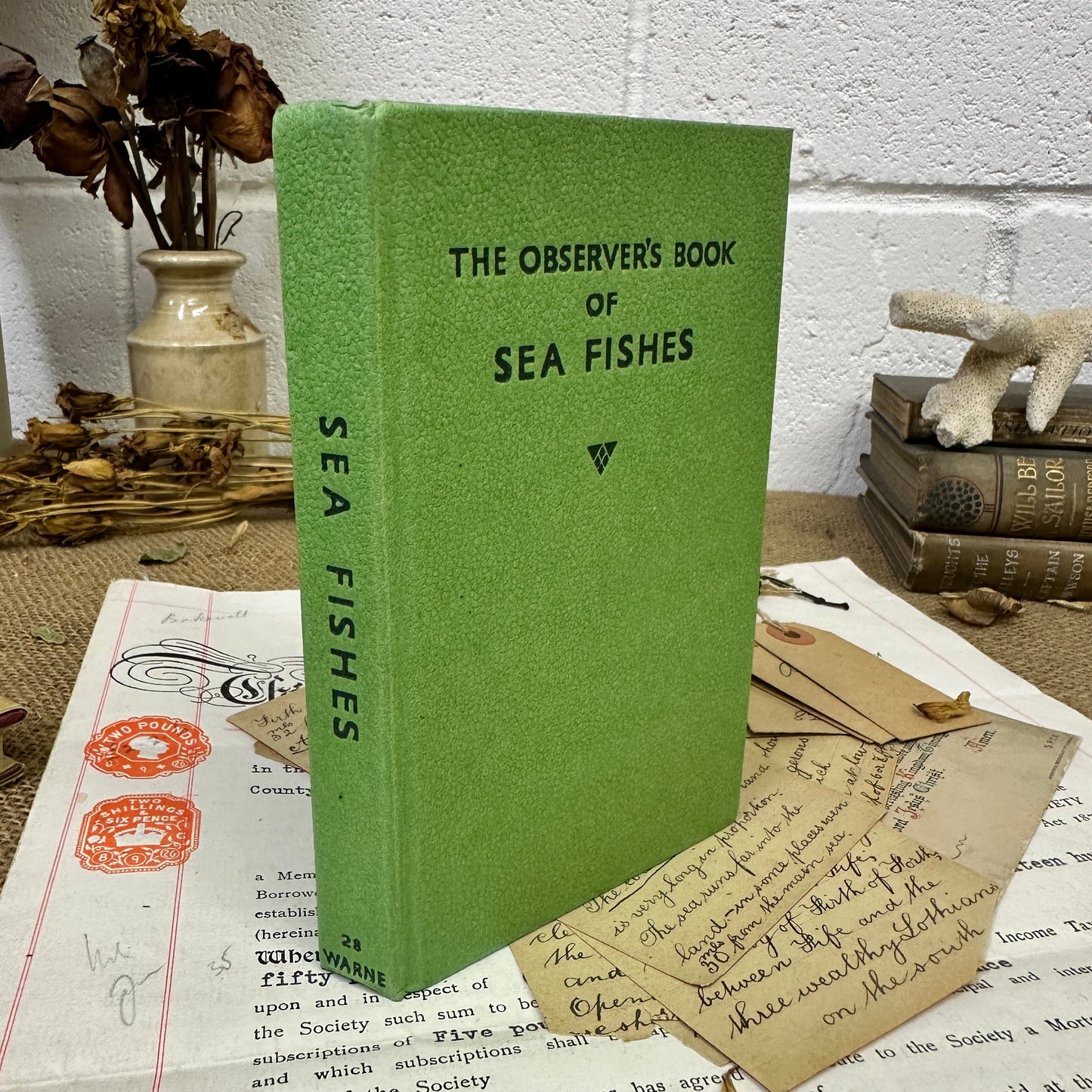 The observer’s book Sea Fishes - The Blind Mole