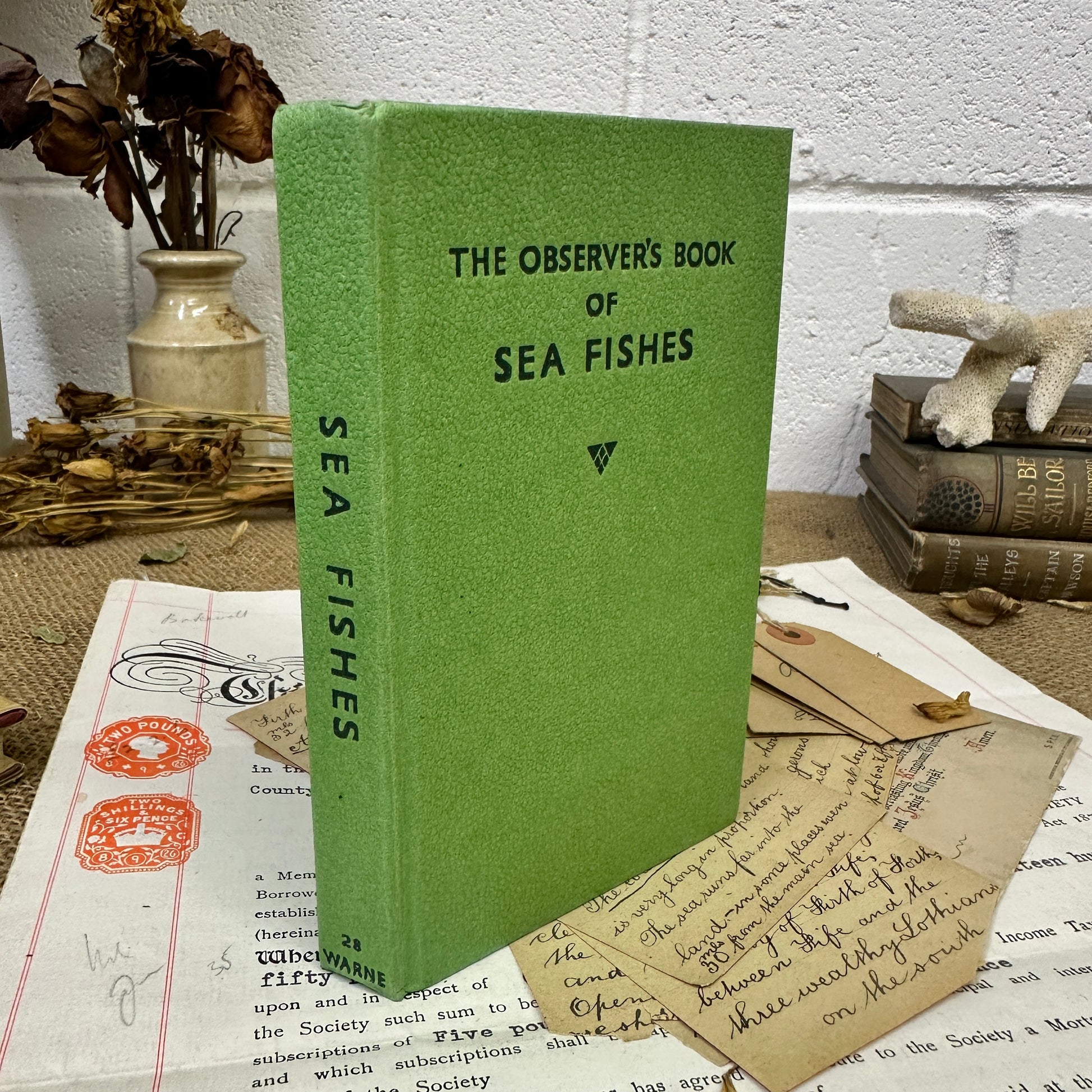 The observer’s book Sea Fishes - The Blind Mole