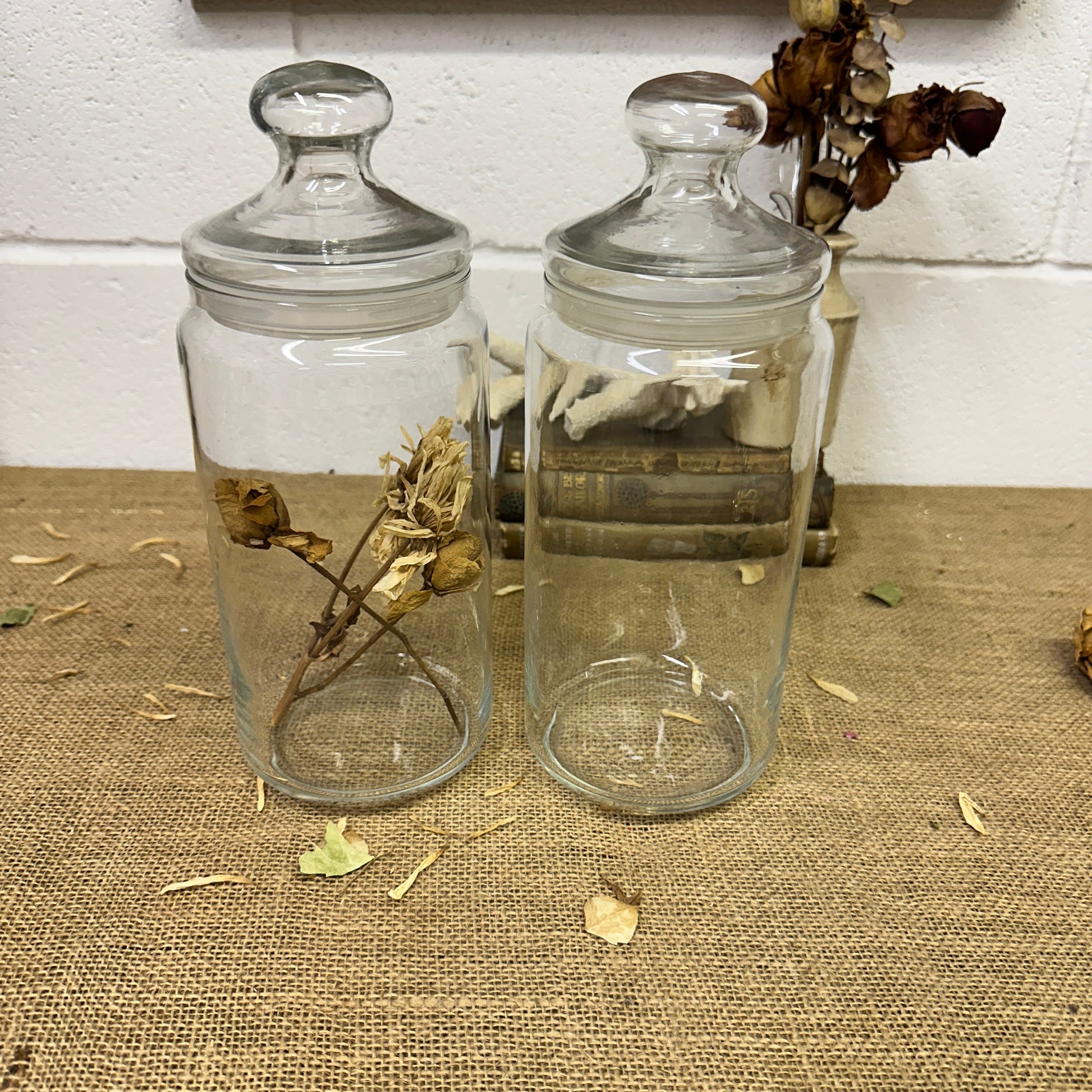 Large Clear Vintage Lidded Glass Apothecary Bon Bon Jars Pair - The Blind Mole