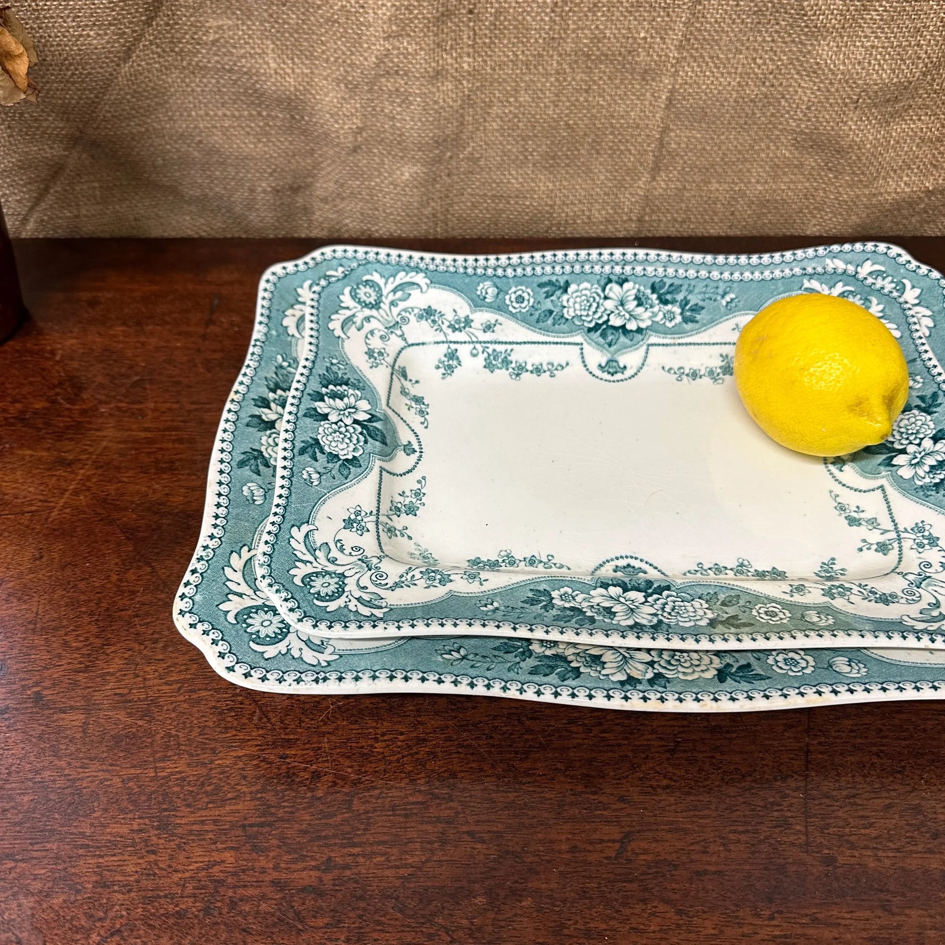 Early Victorian Blue Platters Pair The Blind Mole