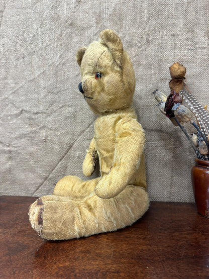 Mohair Antique Teddy Bear The Blind Mole