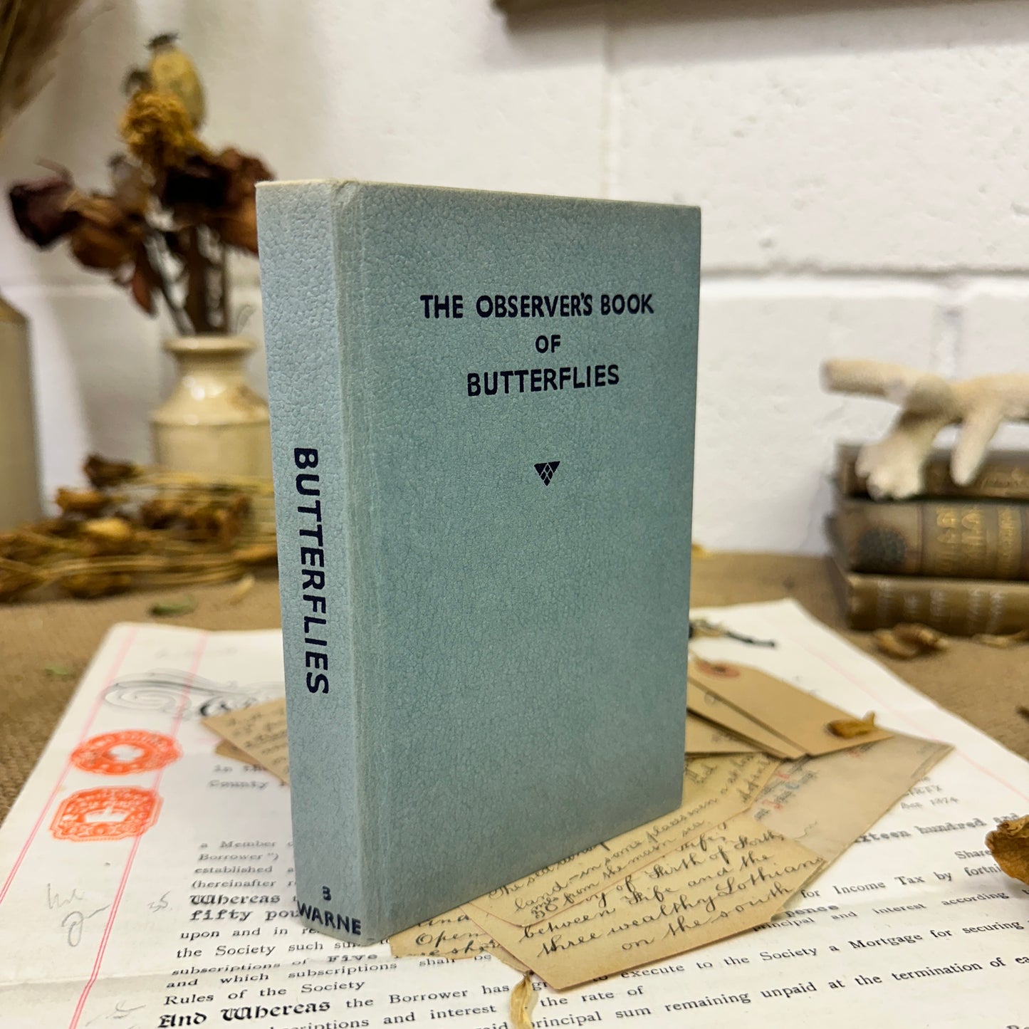 The observer’s book of Butterflies - The Blind Mole