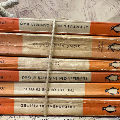 Orange Vintage Penguin Book Stacks