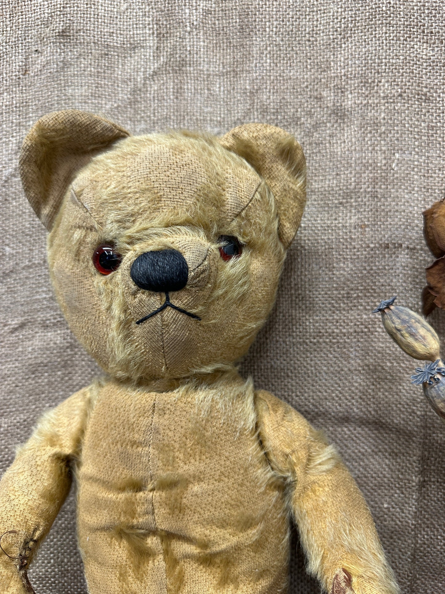 Mohair Antique Teddy Bear The Blind Mole