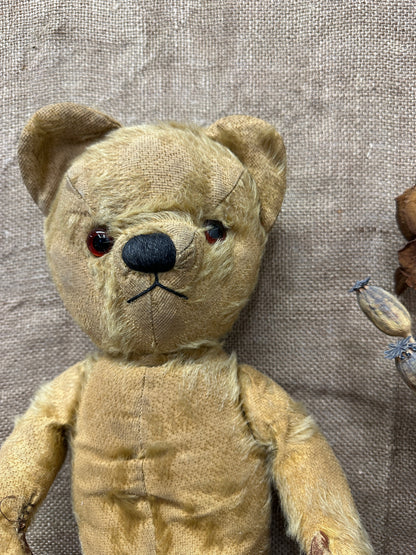 Mohair Antique Teddy Bear The Blind Mole