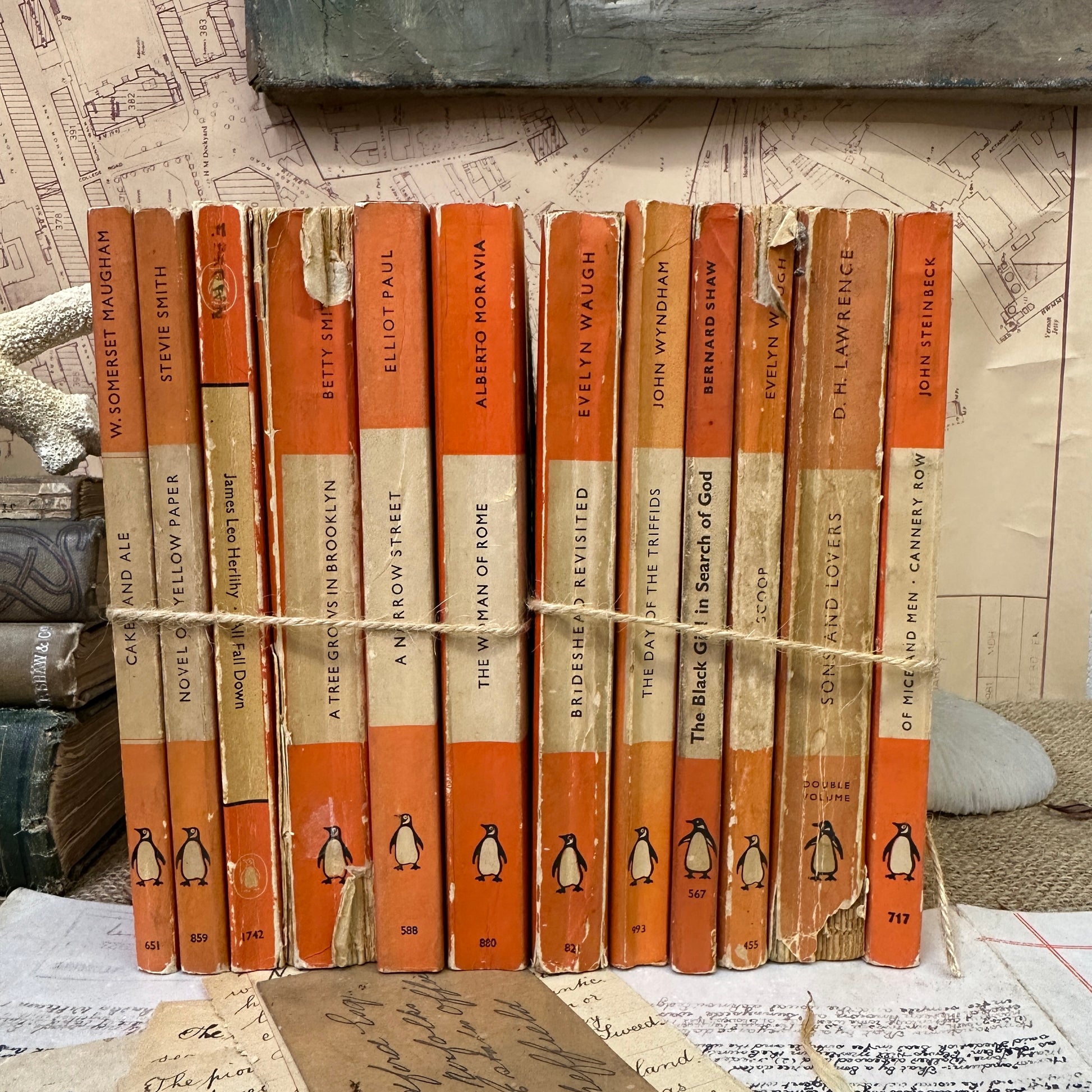 Orange Vintage Penguin Book Stacks