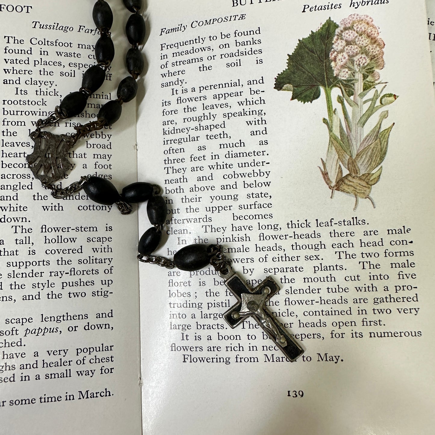 Beaded Rosary Beads Rosary Necklace Crucifix - The Blind Mole