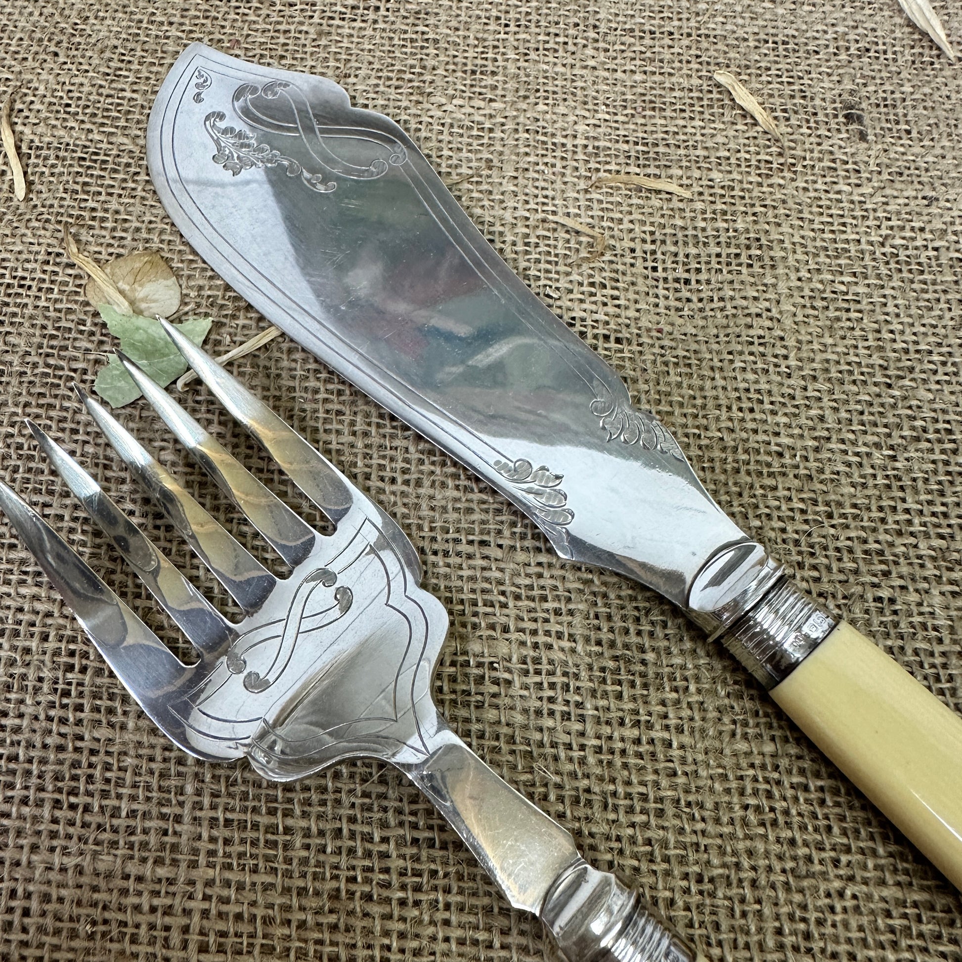 Salomon Fish Serving Set Silver Collars - The Blind Mole