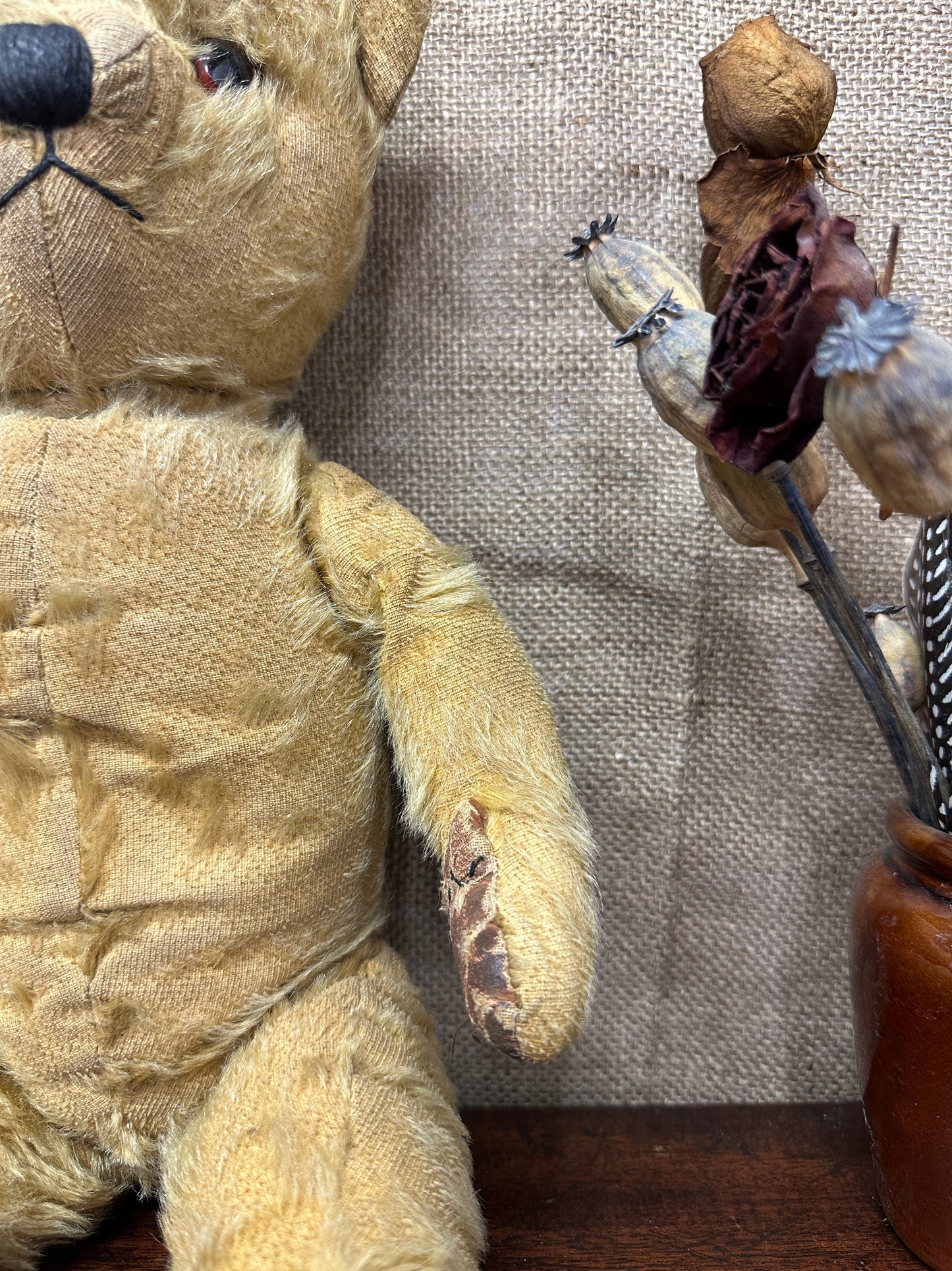 Mohair Antique Teddy Bear The Blind Mole