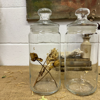 Large Clear Vintage Lidded Glass Apothecary Bon Bon Jars Pair - The Blind Mole
