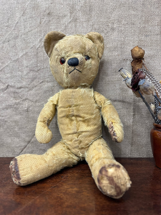 Mohair Antique Teddy Bear The Blind Mole
