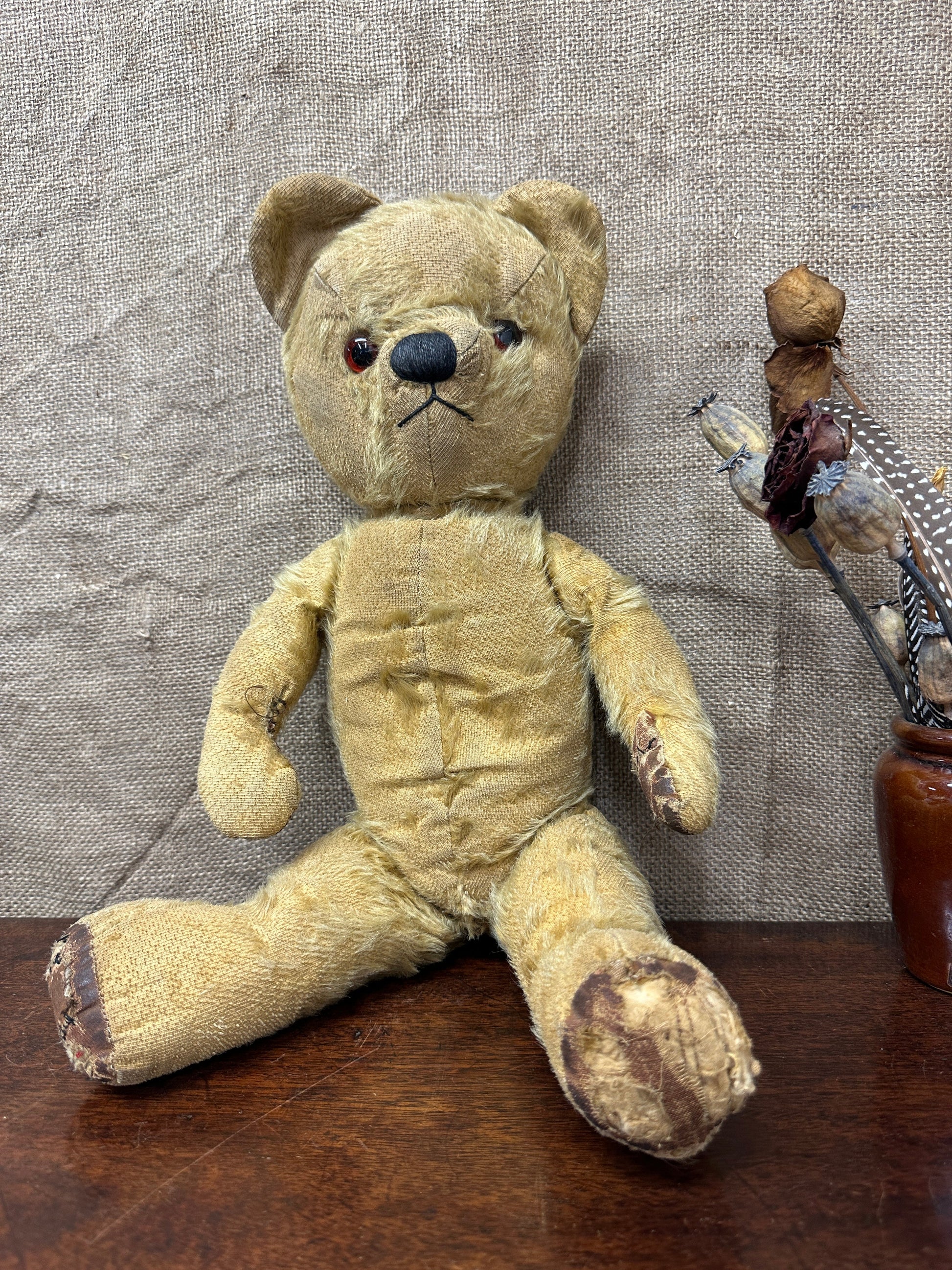 Mohair Antique Teddy Bear The Blind Mole