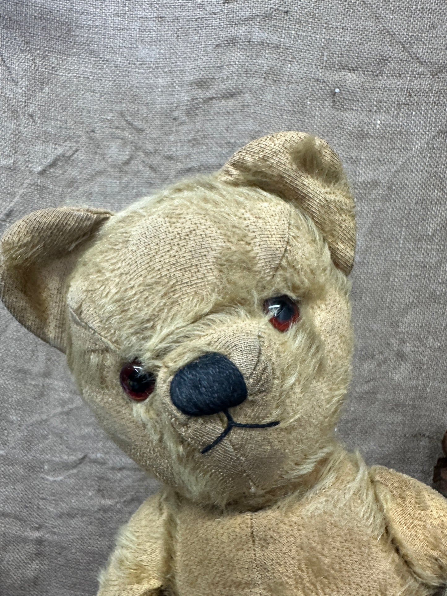 Mohair Antique Teddy Bear The Blind Mole