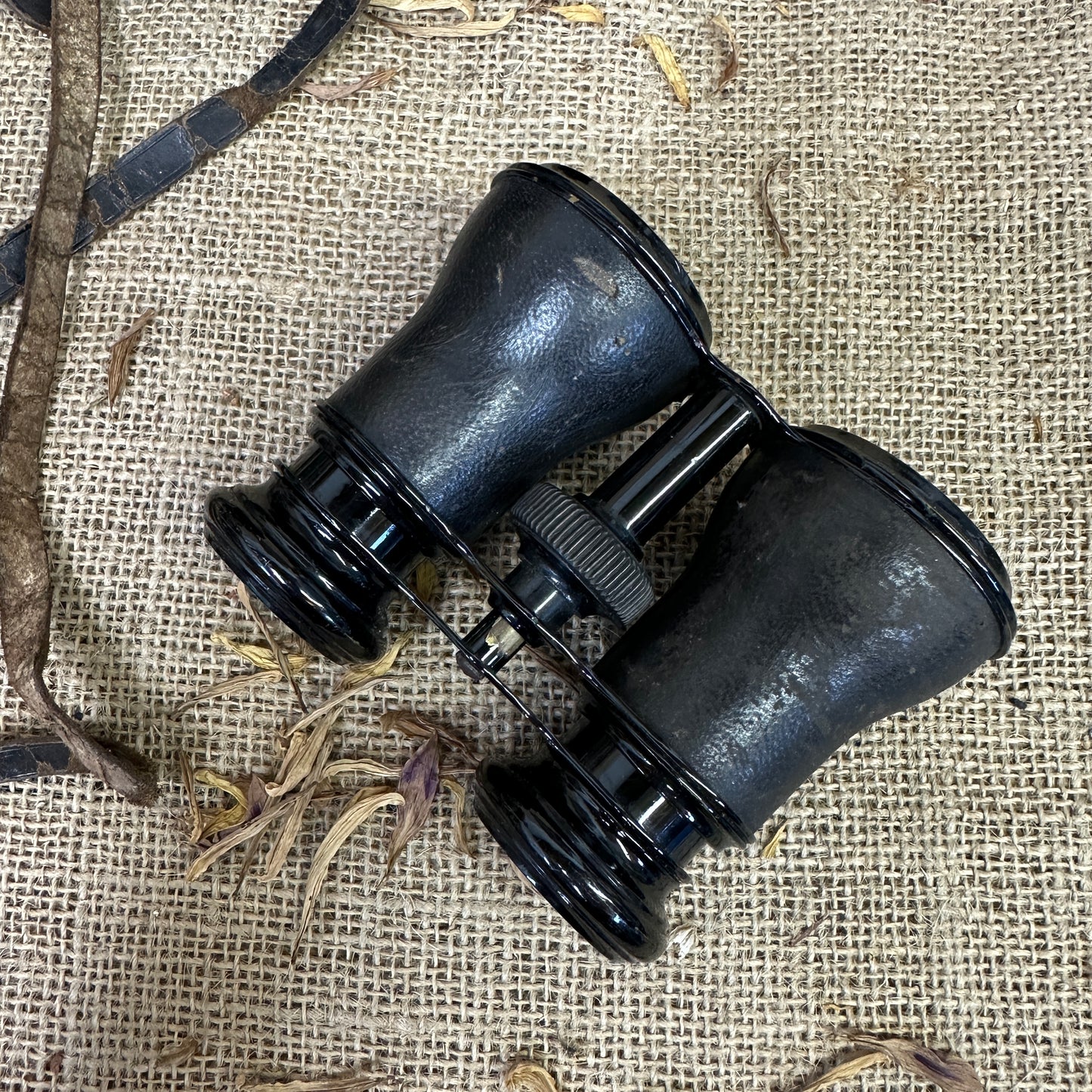 Antique Binoculars Le Jockey Club