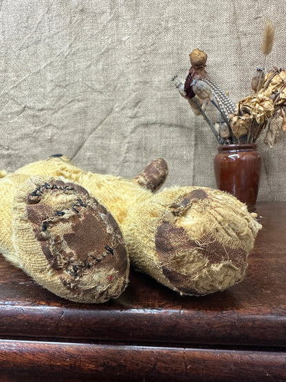 Mohair Antique Teddy Bear The Blind Mole
