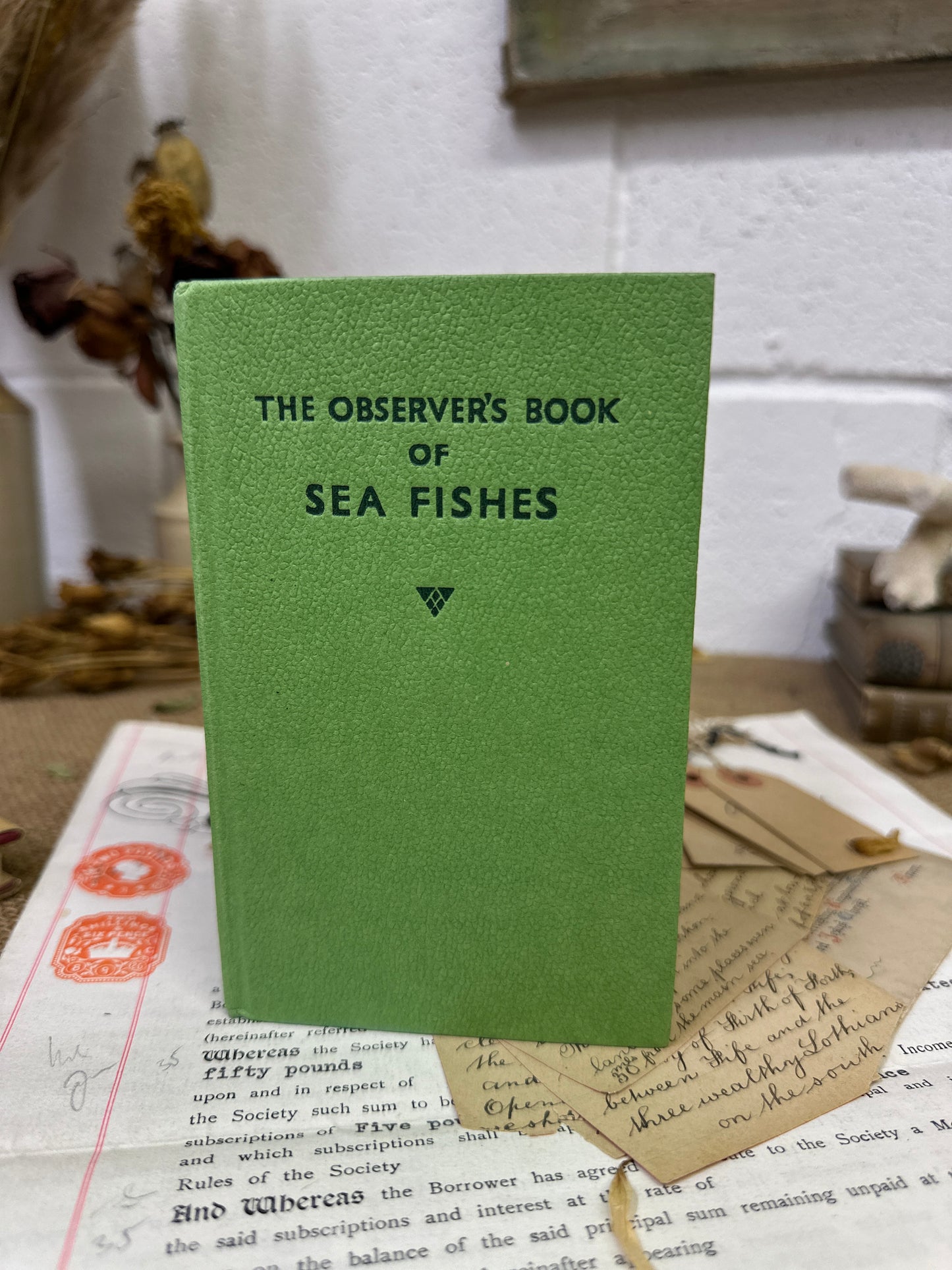 The observer’s book Sea Fishes - The Blind Mole